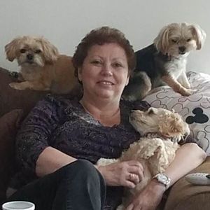 Meet your Posher, Ellen